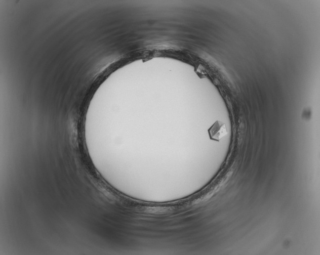 X0000116621305201001081223