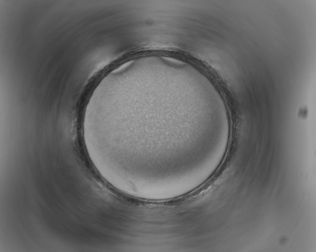 X0000116621306201001081223