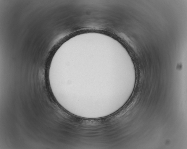 X0000116621307201001081223