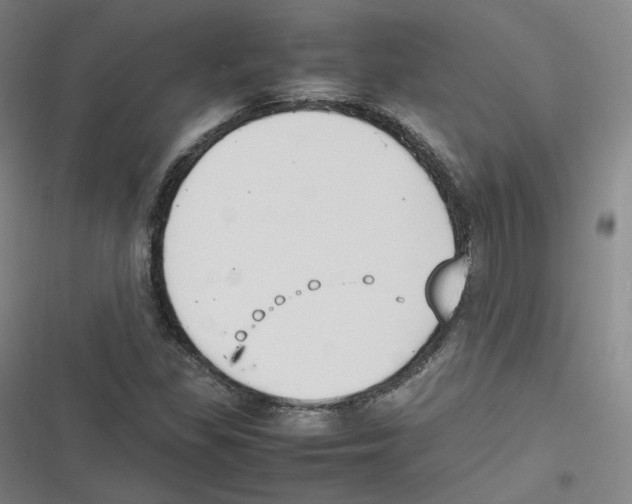 X0000116621309201001081223