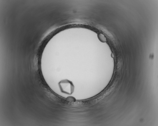 X0000116621310201001081223