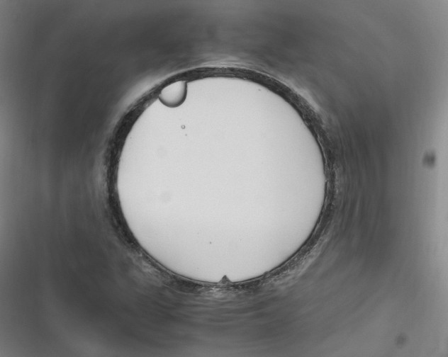 X0000116621311201001081223