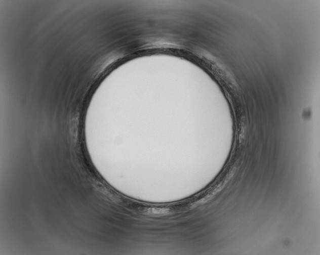 X0000116621313201001081223