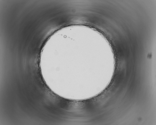 X0000116621314201001081223