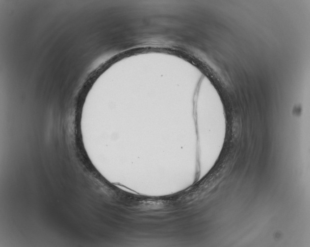 X0000116621315201001081223