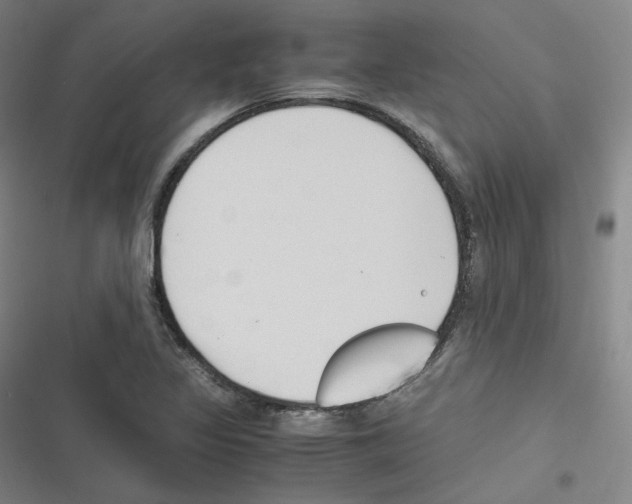 X0000116621317201001081223