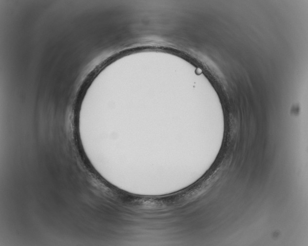 X0000116621318201001081223