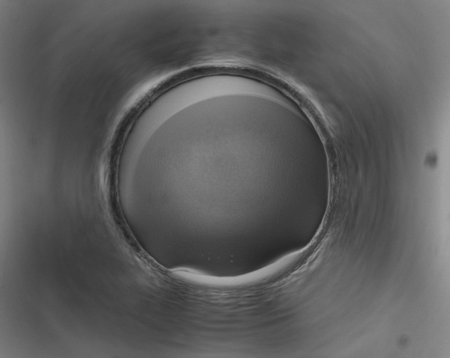 X0000116621319201001081223