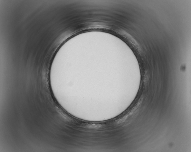 X0000116621321201001081223