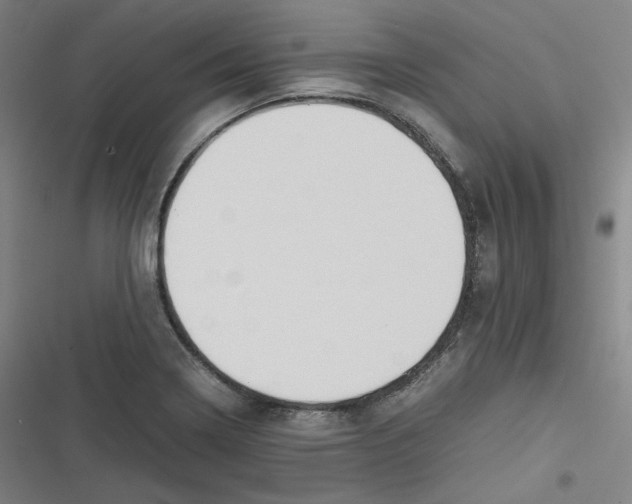 X0000116621322201001081223