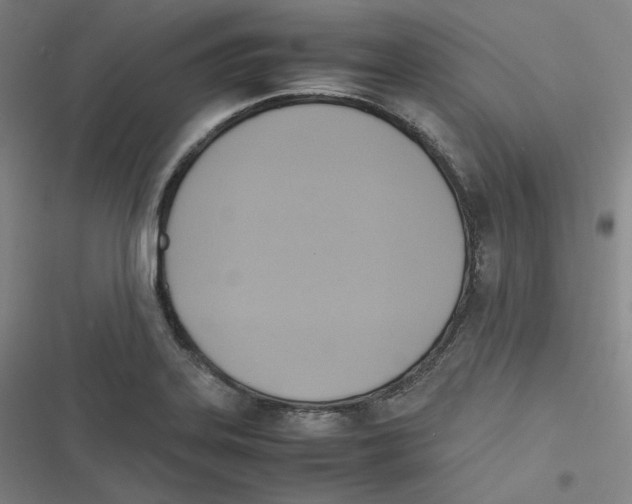 X0000116621323201001081223