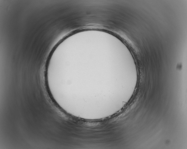 X0000116621325201001081223