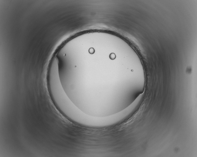 X0000116621326201001081223