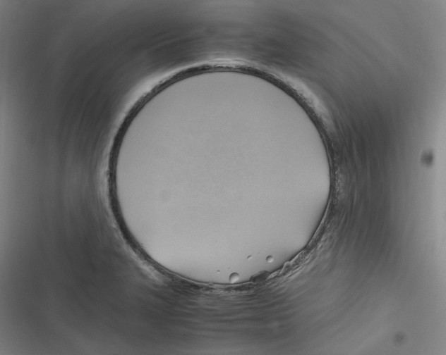 X0000116621327201001081223