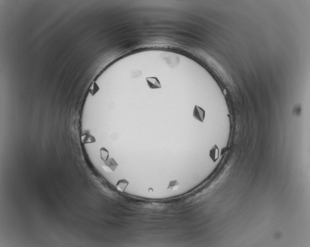 X0000116621329201001081223