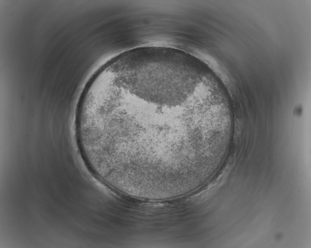 X0000116621331201001081223