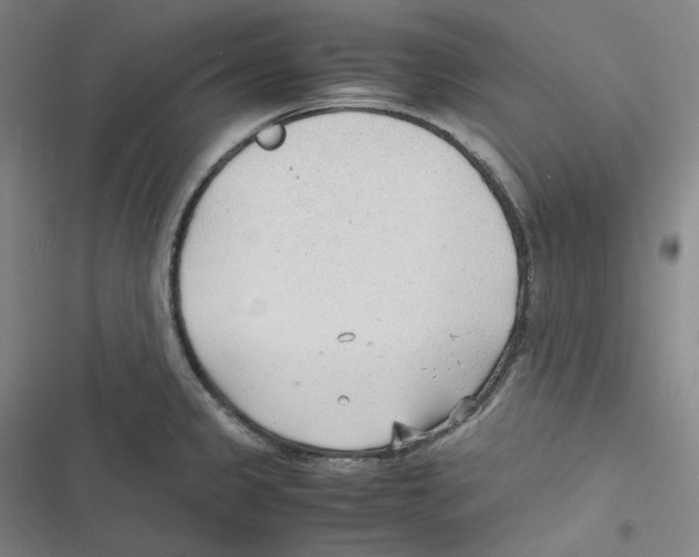 X0000116621333201001081223