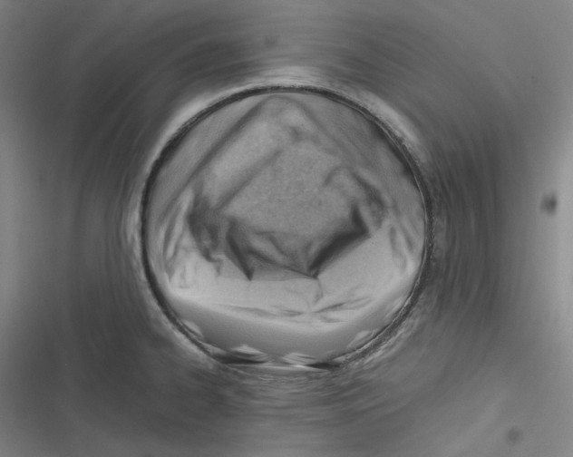 X0000116621334201001081223