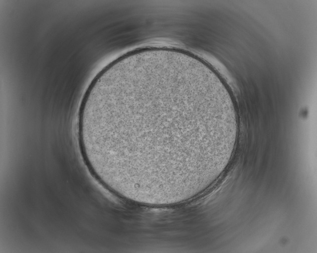 X0000116621335201001081224