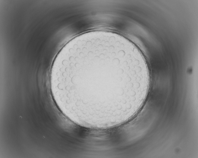 X0000116621338201001081224