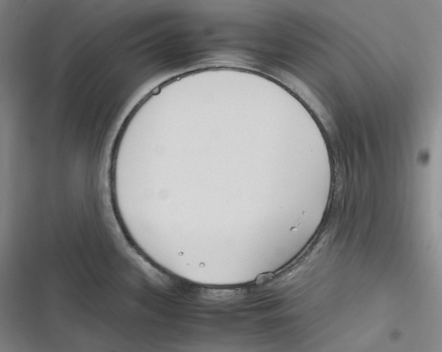 X0000116621339201001081224