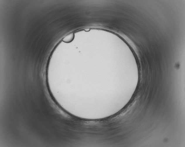 X0000116621341201001081224