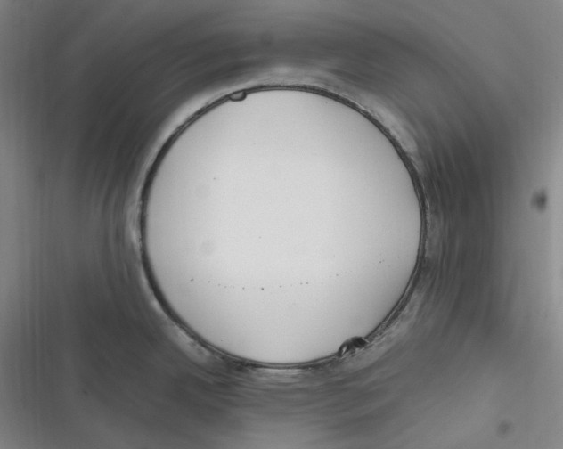 X0000116621342201001081224