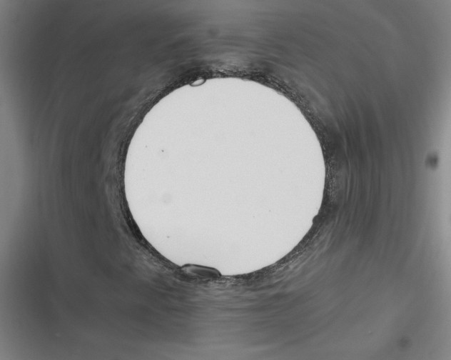 X0000116621345201001081223