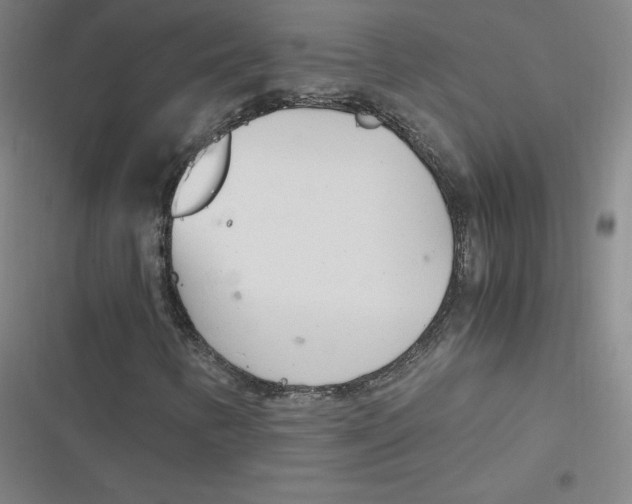 X0000116621346201001081223