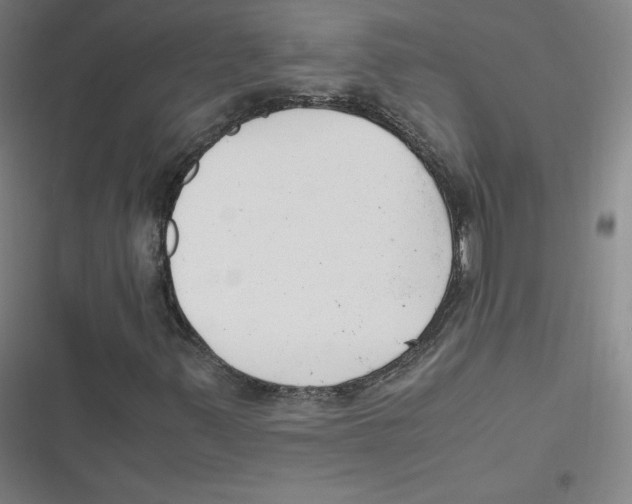 X0000116621347201001081223