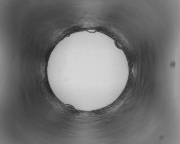 X0000116621348201001081223