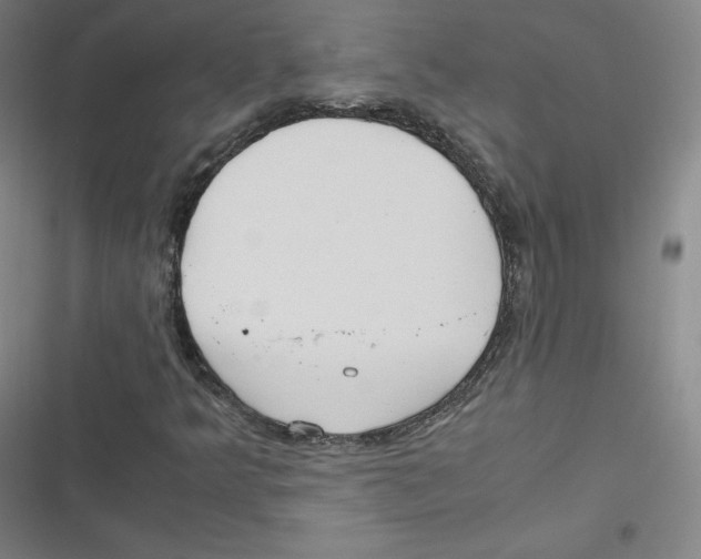 X0000116621349201001081223