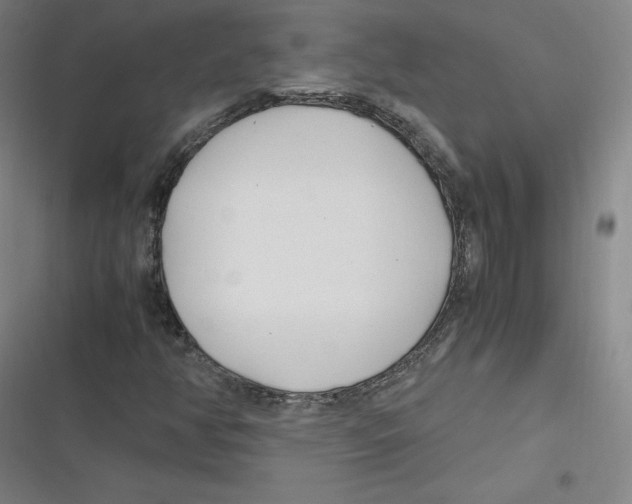 X0000116621350201001081223