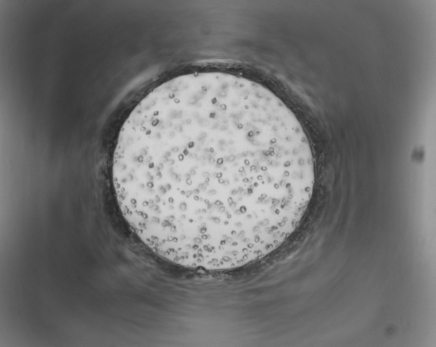 X0000116621351201001081223