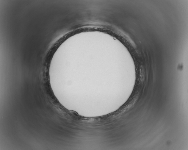 X0000116621352201001081223