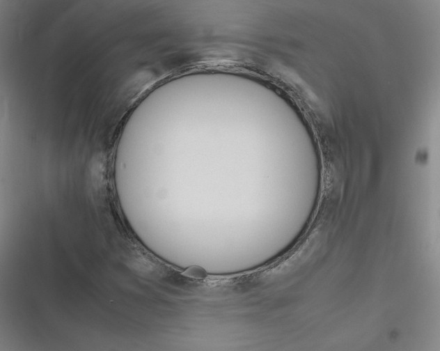 X0000116621353201001081223