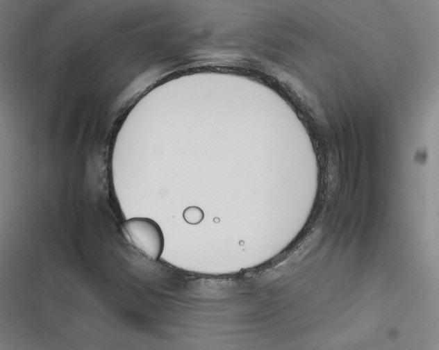 X0000116621354201001081223