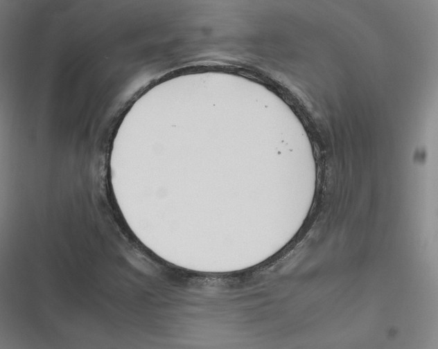 X0000116621355201001081223