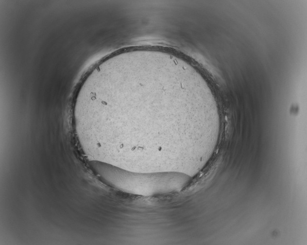 X0000116621358201001081223