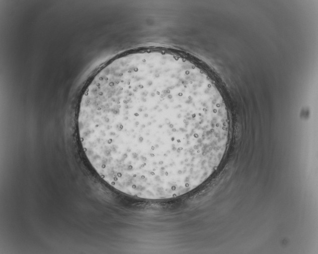 X0000116621359201001081223