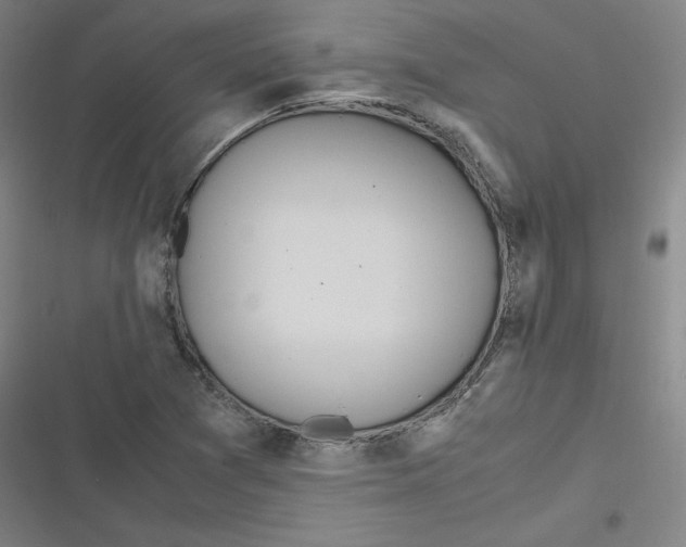 X0000116621361201001081223