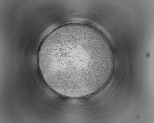 X0000116621362201001081223