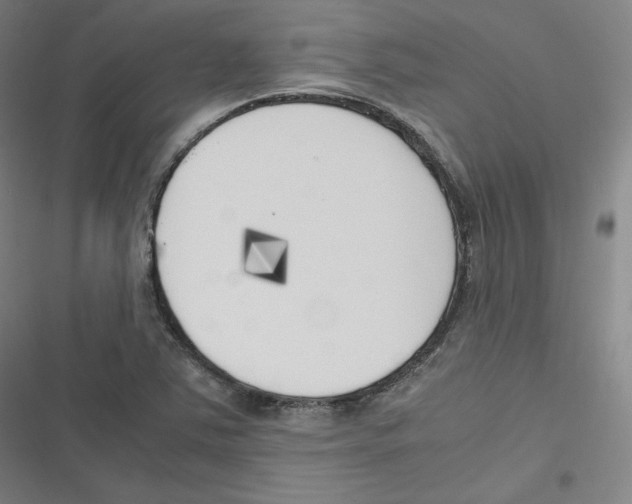 X0000116621363201001081223