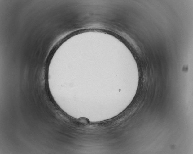 X0000116621364201001081223