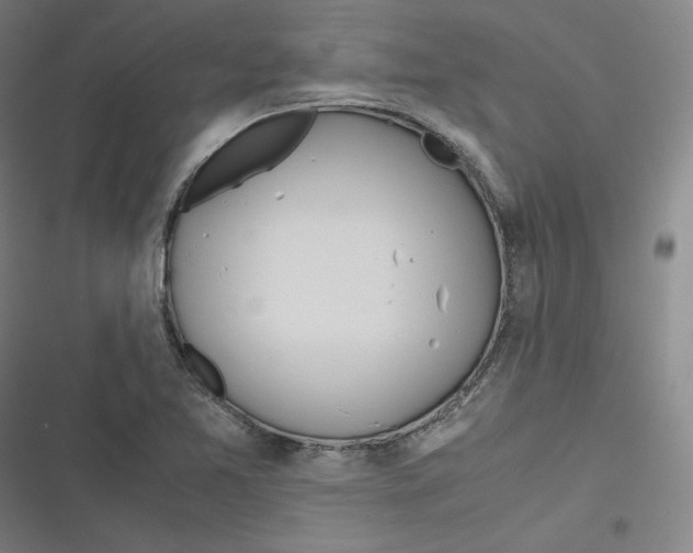 X0000116621365201001081223