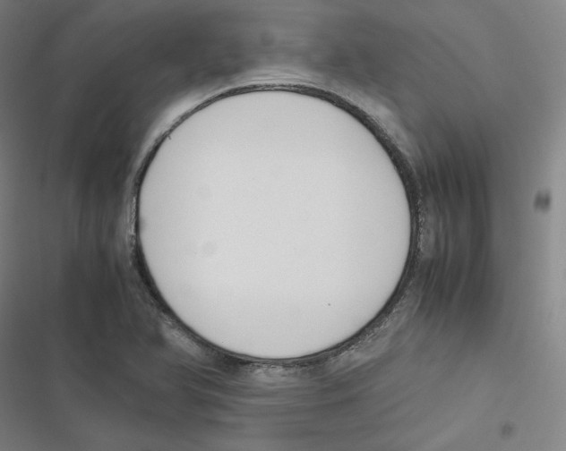 X0000116621366201001081223