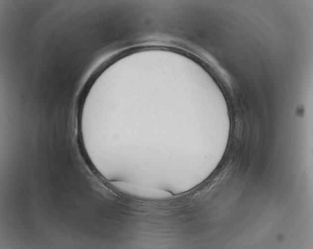 X0000116621368201001081223