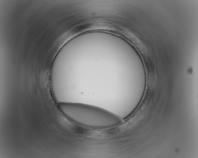 X0000116621369201001081223