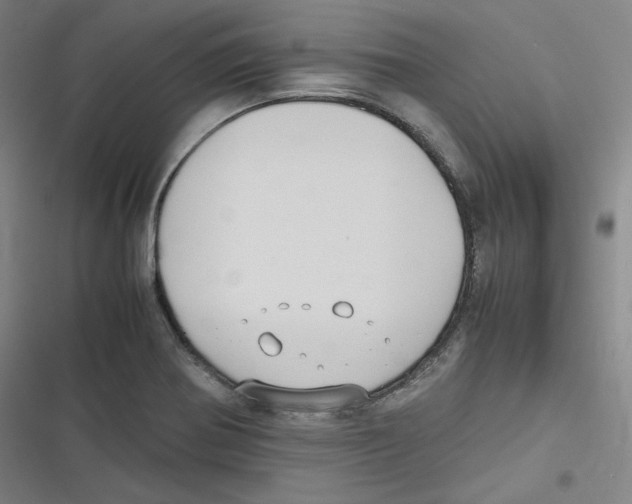 X0000116621370201001081223