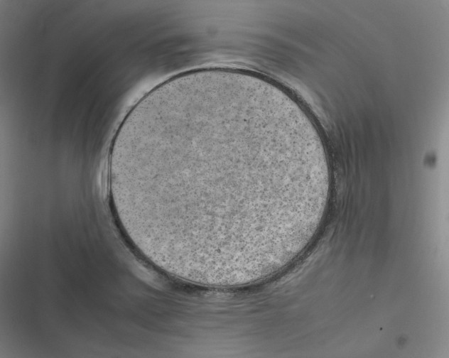 X0000116621371201001081223